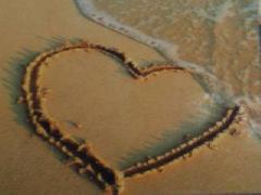 c mon coeur