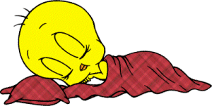 il est trop mimi kan il dort